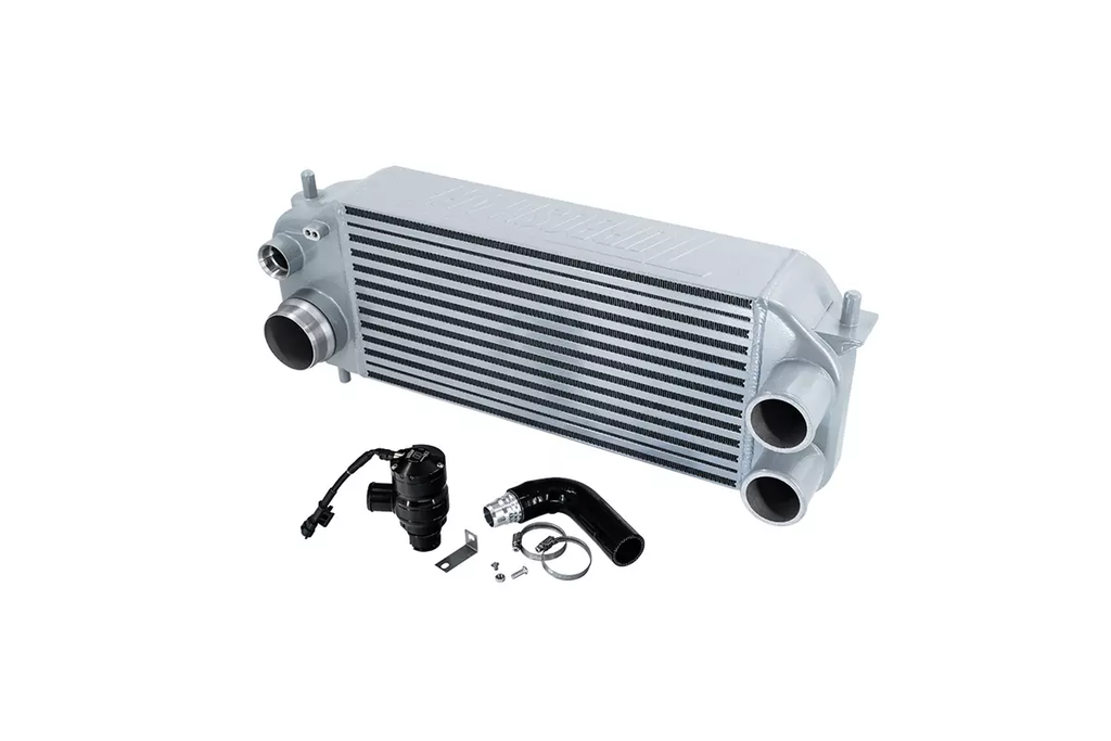 [TS-PK-1004] Valvola Blow-off Turbosmart F150 Intercooler + Kit, Silver Recirculating