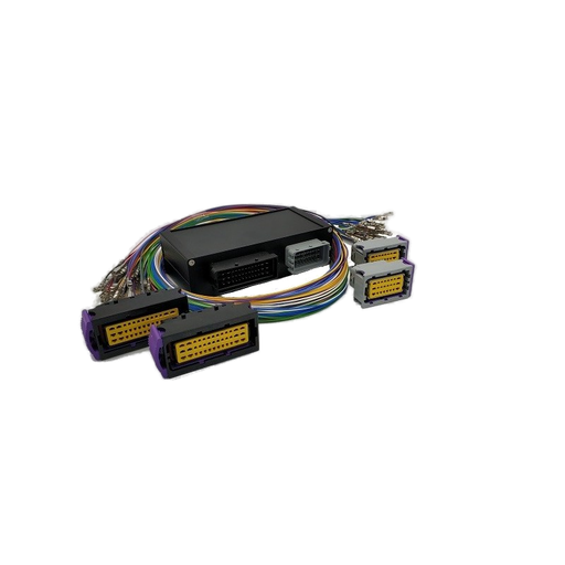 Audi 1.8T BAM - Ecumaster EMU Black interconnector